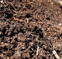 Earthborn Australia - Click Find