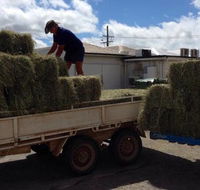 Proserpine Rural - Click Find