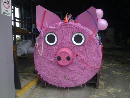 Glenella QLD Click Find