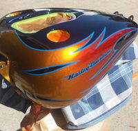 Back From The Dead Refinishing Custom Paint  Panel - Lavinia