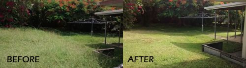 Grease Trap Cleaning Mount Pleasant QLD Click Find
