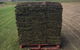 Hillside Turf - thumb 4