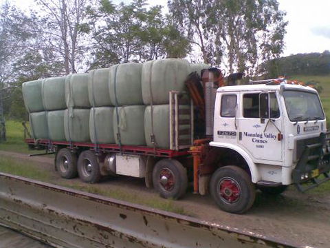 Manning Valley Cranes - DBD 2