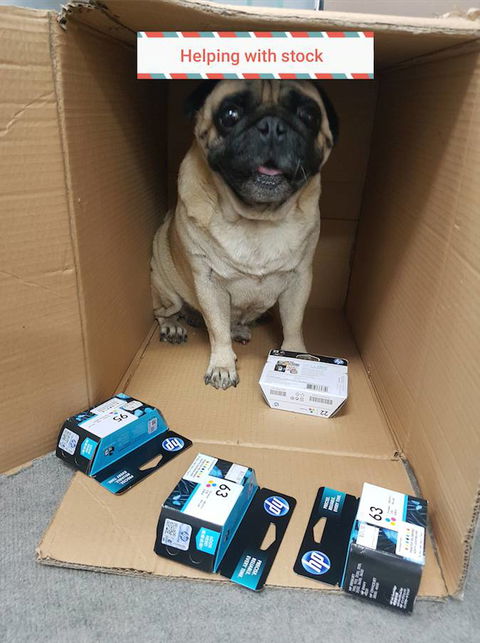 Printer Re-Inking North Queensland - Bet 4u 3