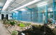 Cairns Cat Oasis Resort - thumb 2