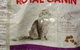 Cats Cattery Boarding Facility - thumb 1