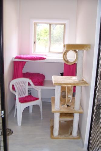 Dog Cat Clipping Grooming Glenreagh NSW Click Find