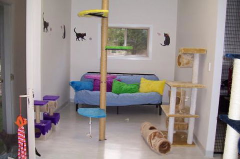 Carlyn Park Cattery - Click Find 1