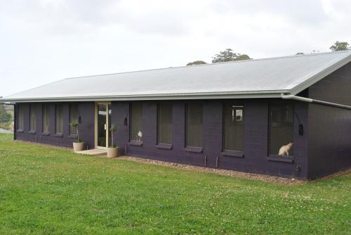 Cat Breeding Boambee NSW DBD