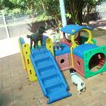 Helga’s Pet Resort - Click Find 0