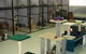 Pussycat Park - thumb 1