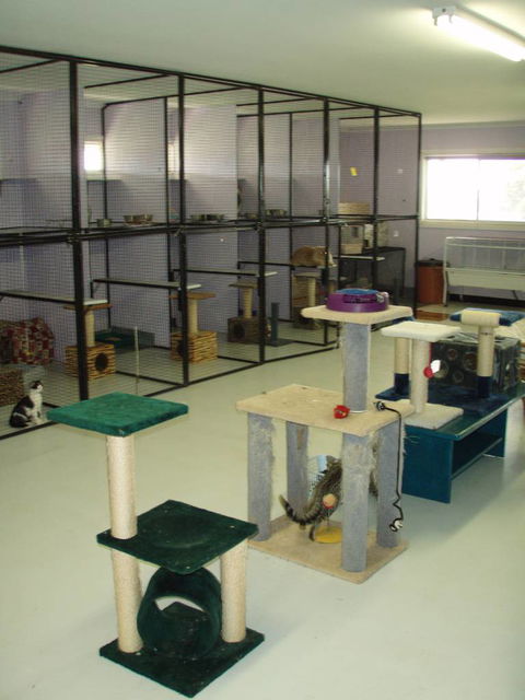 Pussycat Park - Lavinia 1