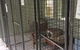 Gympie Cooloola Pet Resort - thumb 0