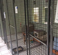 Gympie Cooloola Pet Resort - Click Find
