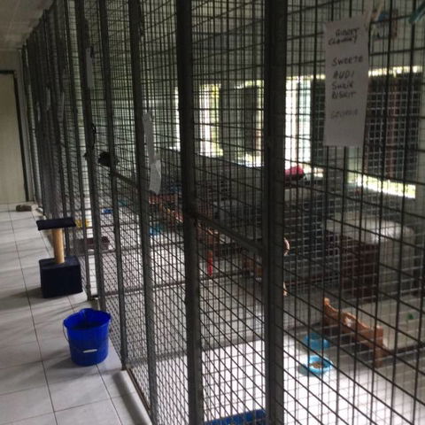 Gympie Cooloola Pet Resort - Click Find 1