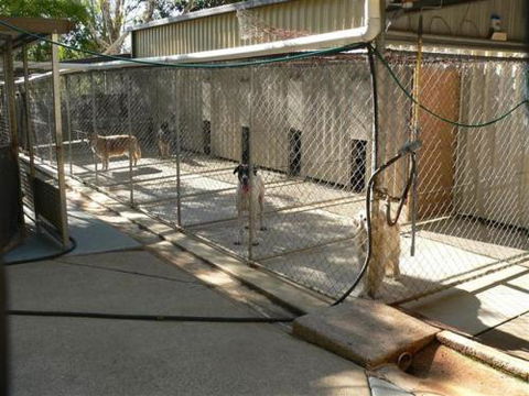 Eumundi Pet Resort - Click Find 0