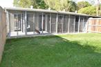 Eumundi Pet Resort - Click Find 2