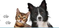Hillcrest Boarding Kennels & Cattery - Click Find 1