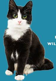 Hillcrest Boarding Kennels & Cattery - Click Find 2