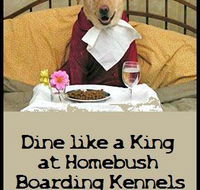 Homebush Boarding Kennels  Cattery - Click Find