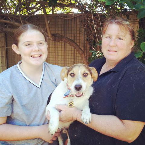 Homebush Boarding Kennels & Cattery - Click Find 1