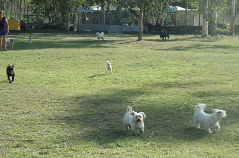 Pacific Palms Pet Resort - Click Find 1