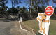 Pacific Palms Pet Resort - thumb 4
