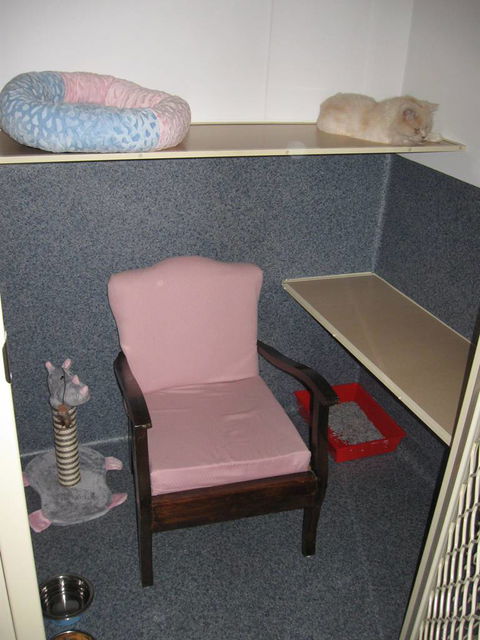 Hunter Pet Motel - Lawyer Find 0
