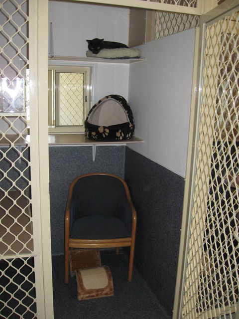 Hunter Pet Motel - Lawyer Find 2