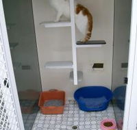 Catalina Cat Boarding - Lawyer Find