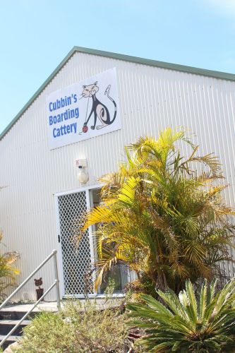 Dog Boarding Kennels Salt Ash NSW Click Find