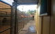 Foster Care Boarding Kennels & Cattery - thumb 1