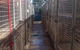 Foster Care Boarding Kennels & Cattery - thumb 3