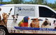 Townsville Pet Resort - thumb 0