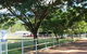 Townsville Pet Resort - thumb 1