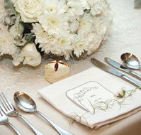 DVine Catering  Events - Bridge Guide