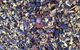 Aafjes Coastal Sand & Soil - thumb 4