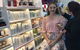 Church Pharmacy - thumb 0