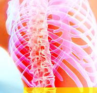 Beachside Chiropractic - Bridge Guide