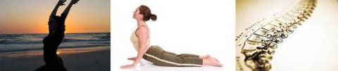 ChiroPlus Mackay - Click Find 0