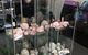 Butterfly Crystal Dreams - thumb 2