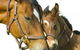 Kempsey Produce & Saddlery - thumb 0