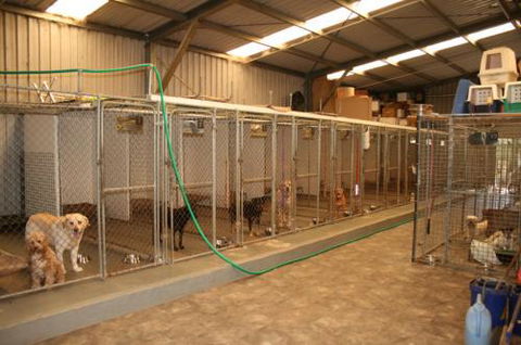 Pads ‘n’ Paws Pet Motel - Click Find 1