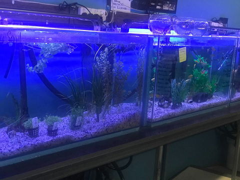 The Pet Shed Medowie - Click Find 1