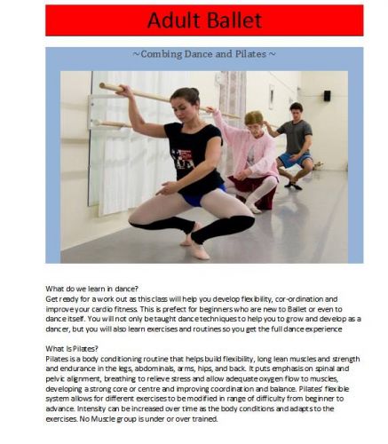 Black Swan School Of Dance - Bridge Guide 4