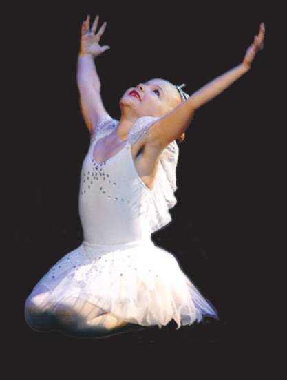 Driving Schools Taree NSW Bridge Guide