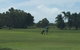 Melaleuca Golf Club - thumb 0