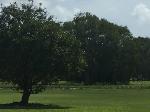 Melaleuca Golf Club - Bet 4u 3