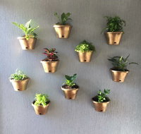 Shellcove Landscaping Maintenance Pty Ltd - Bet 4u