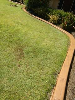 G-Dogs Garden Edging - Lawyer Find 0